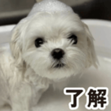 LINEスタンプ