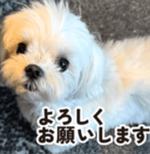 LINEスタンプ